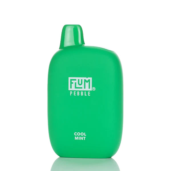 Flum Pebble 6000 Puffs